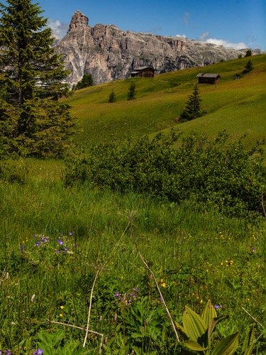 Hike 6 3698
